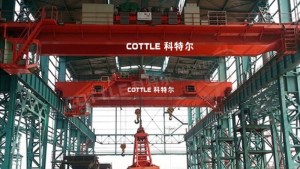 QN dual-purpose double-girder bridge crane with grab and hook