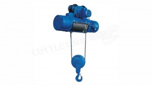 Electric Hoist