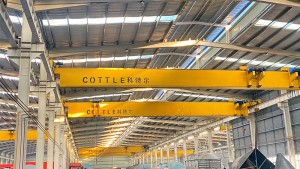 Single girder crane